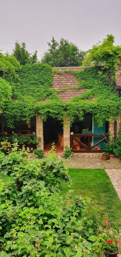 Ilkicev Kucerak Apartman Vrdnik Exterior foto